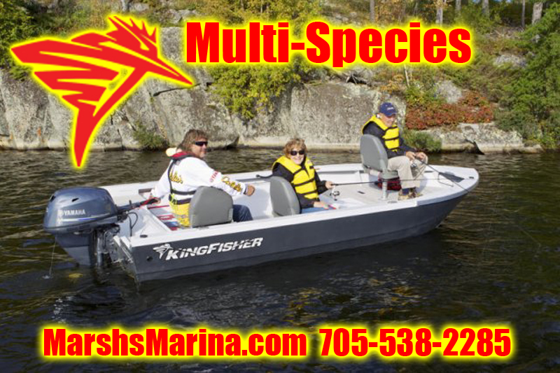 KingFisher Multi-Species Boats For Sale in Ontario